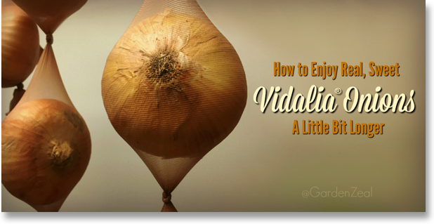 Tips That Help Vidalia Onions Last Longer   Vidalia Header 