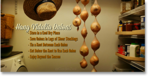 Store Vidalia Onions Properly and Enjoy Them Longer