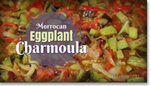 Ten Bistro Owner, Jesse Kauffman used our organically grown Eggplant and Peppers to prepare his interpretation of this Moroccan dish