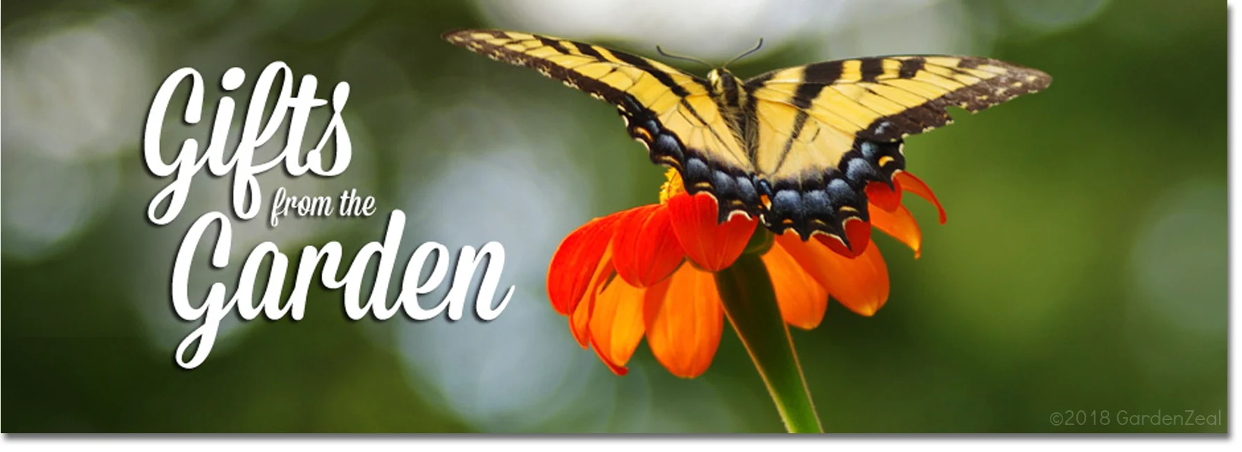 Gifts from the Garden