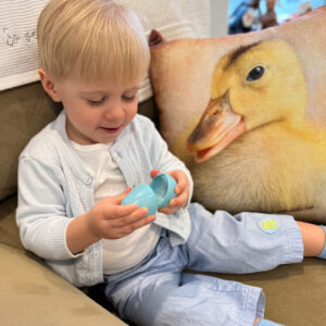 Kathy Wolfe Images Duckling Pillow