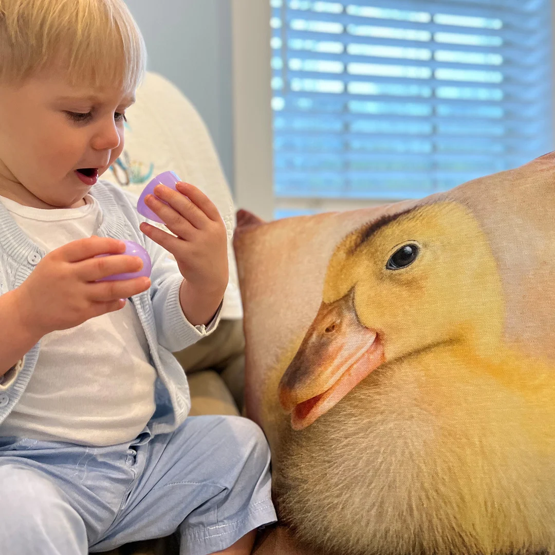 How Can You Resist Kathy Wolfe Images Duckling Art on Pillows & Totes